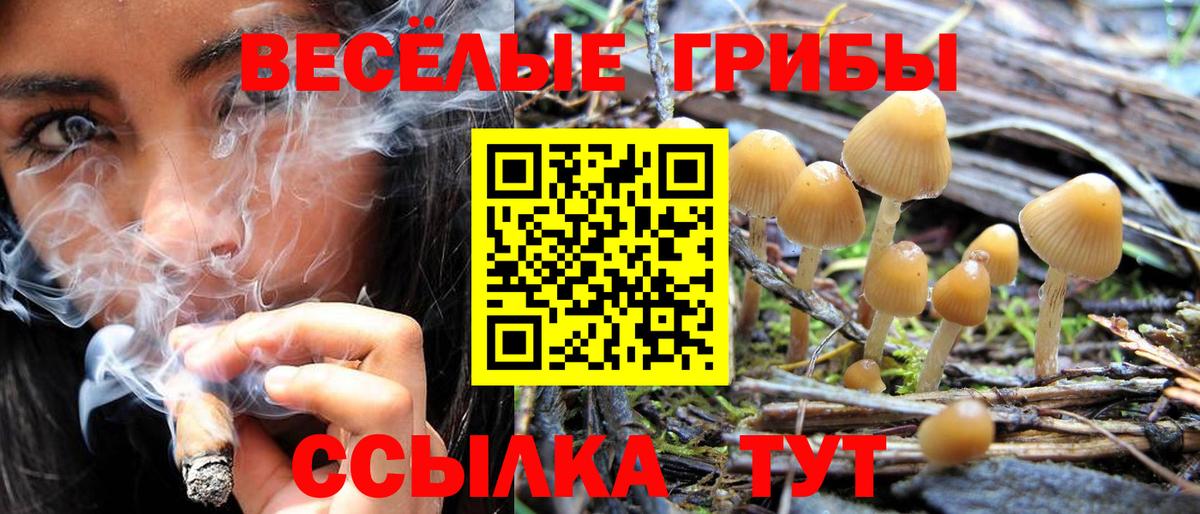 Галлюциногенные грибы мухоморы  Вход с VPN  Строитель 